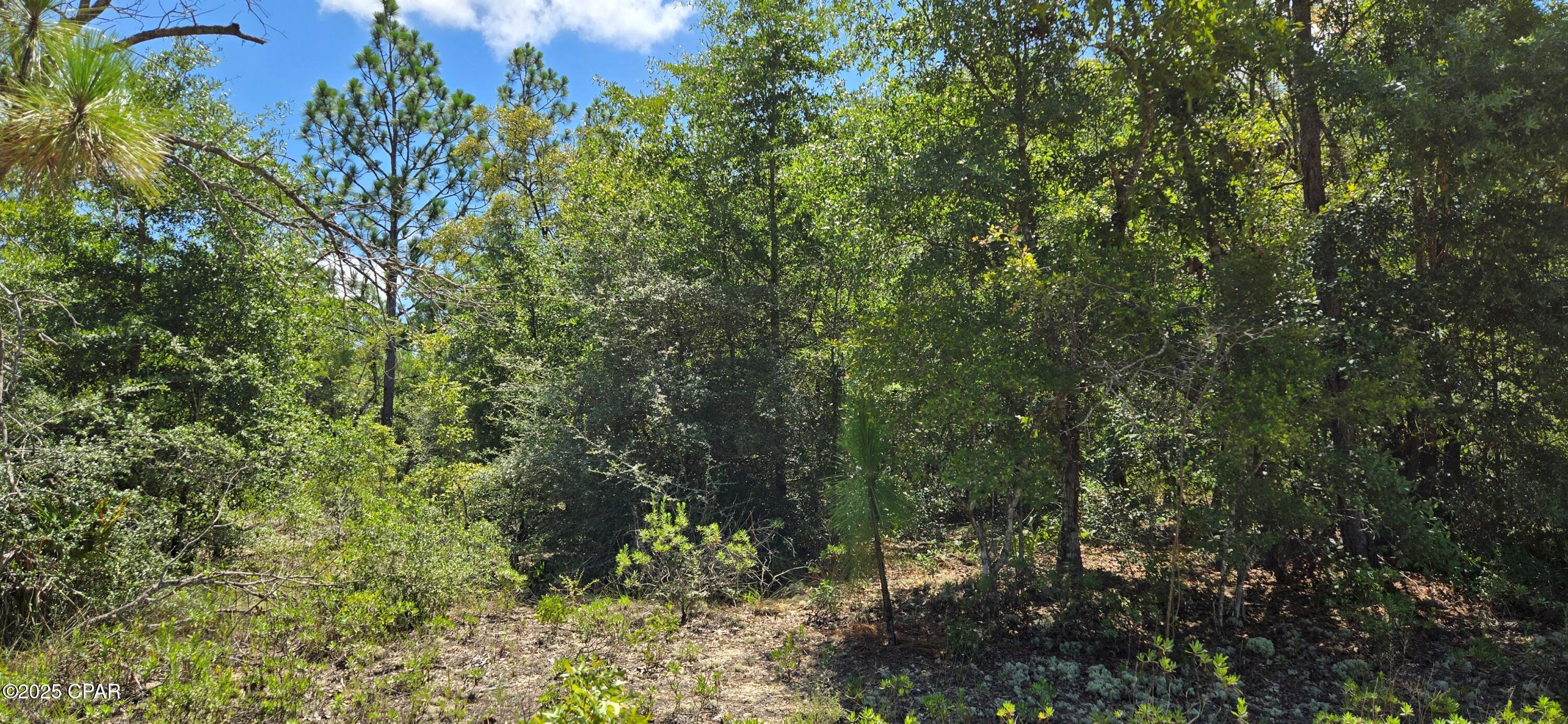 Sunny Hills Unit 12 - Land