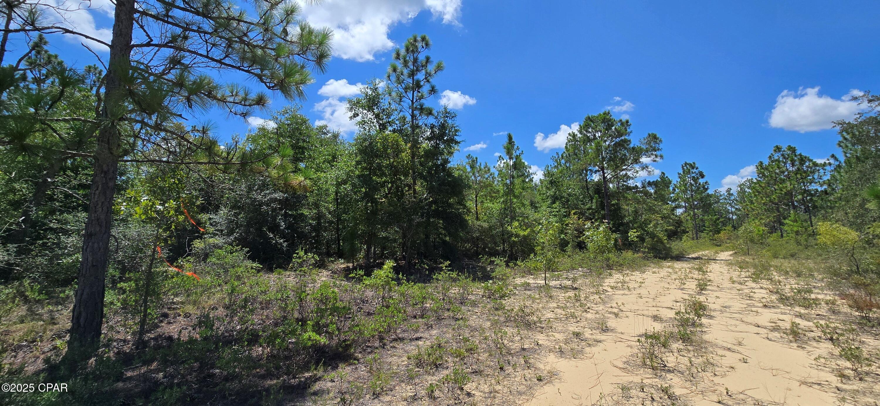 Sunny Hills Unit 12 - Land