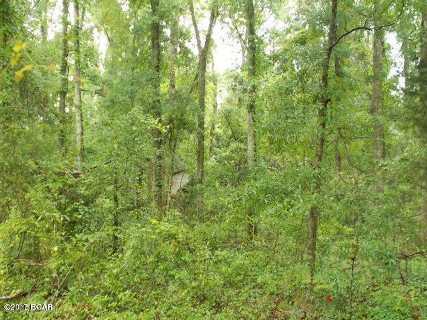 Very nice wooded lot in the country but on a paved road not far from town, would be an ideal site for a mobile home or a site built home, very nice large oaks on the property.