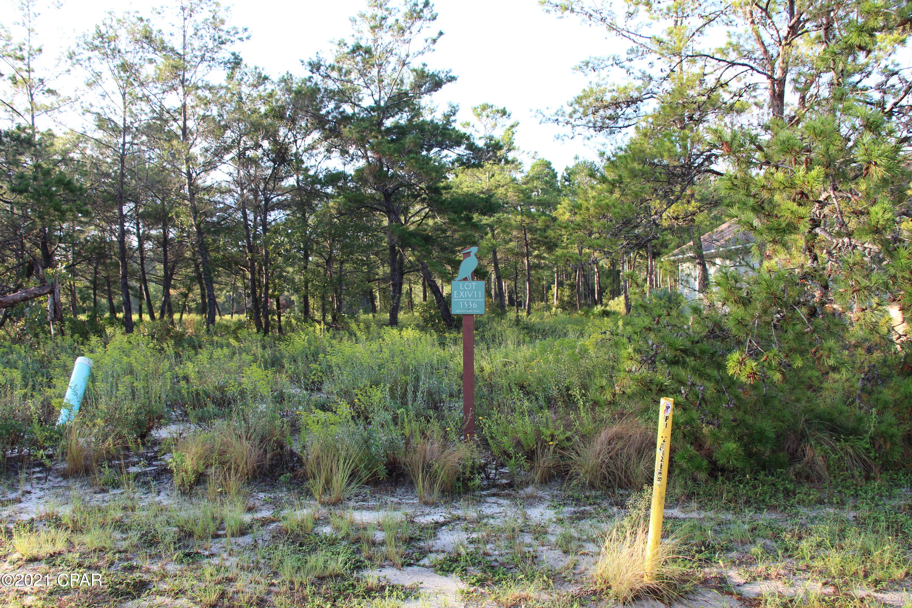 Wild Heron Phase XIV - Land