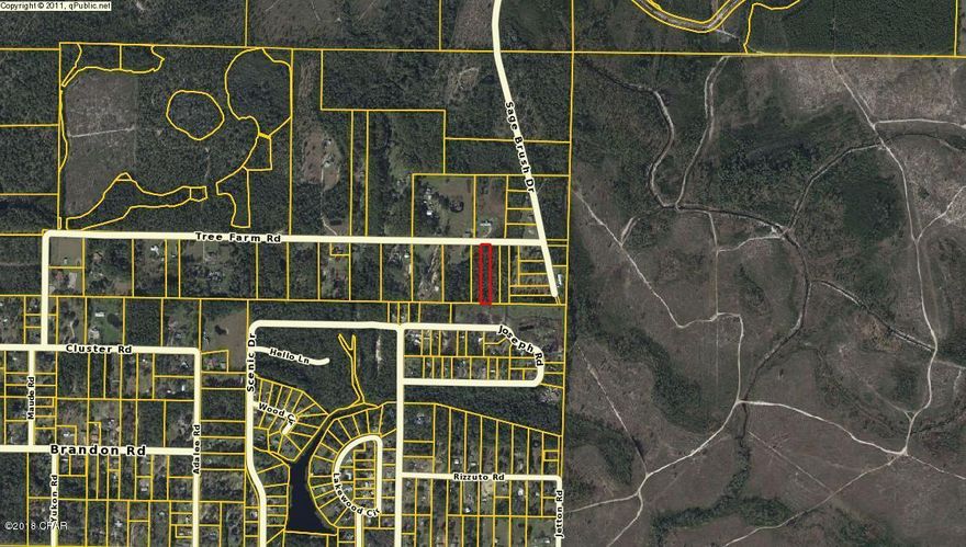 Large Building lot for Country living yet close to town! Lot is 1.46 acres off hwy 2301 within minutes to the Deer Point Dam where you can launch you boat for Great Saltwater Fishing or Freshwater fishing! This is a very convenient area close to all that our wonderful area has to offer! Want more land? There are 4 lots next to each other, so buy more! Thank you for considering this property. All information should be verified if important.