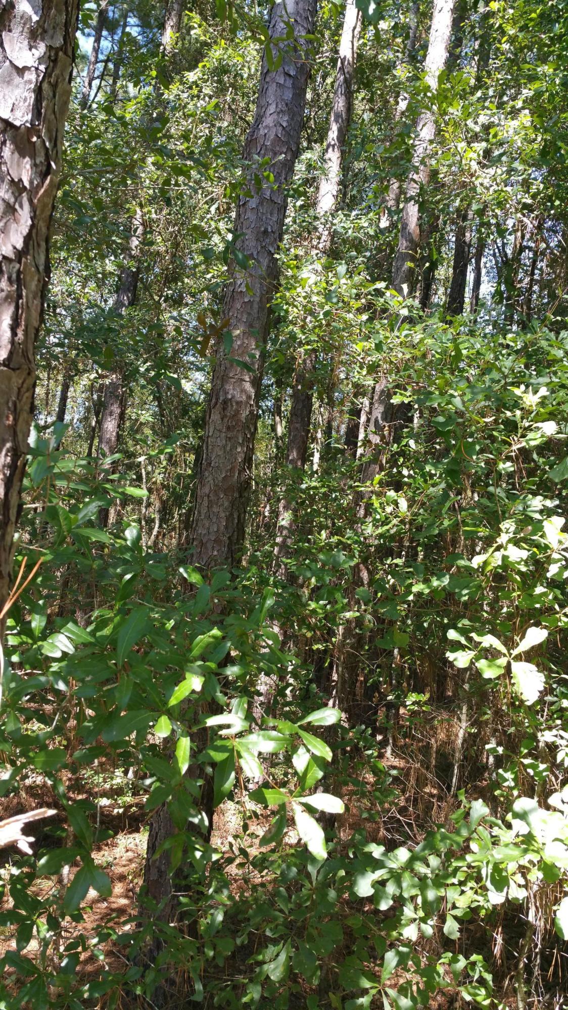 [No Recorded Subdiv] - Land