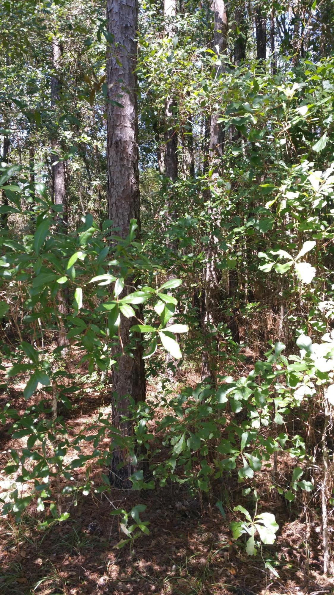 [No Recorded Subdiv] - Land