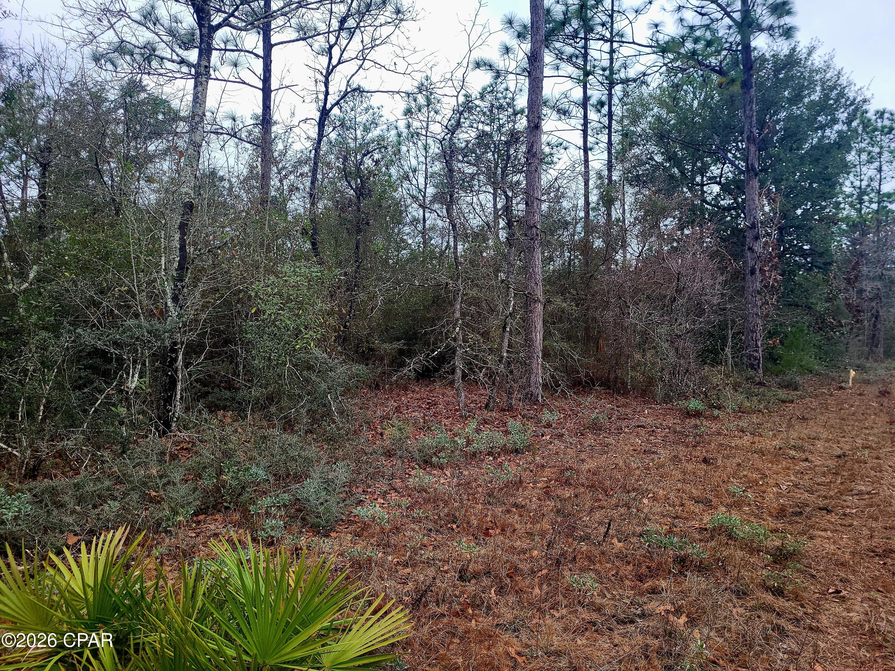 Compass Lake In The Hills - Land