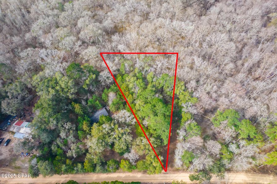 Motivated Seller! Bring all offers! Looking for a great slice of paradise close to the Choctawhatchee River with a boat ramp super close? This is it! Come build your dream home or bring in a beautiful, manufactured home to this wooded, over half acre secluded lot! There IS a power pole on the property. Well and Septic Needed. All property measurements are to be verified by buyer- NO Boundary Survey Available. Located next to multiple acres of Water Management land and about 50 minutes to Panama City Beach!