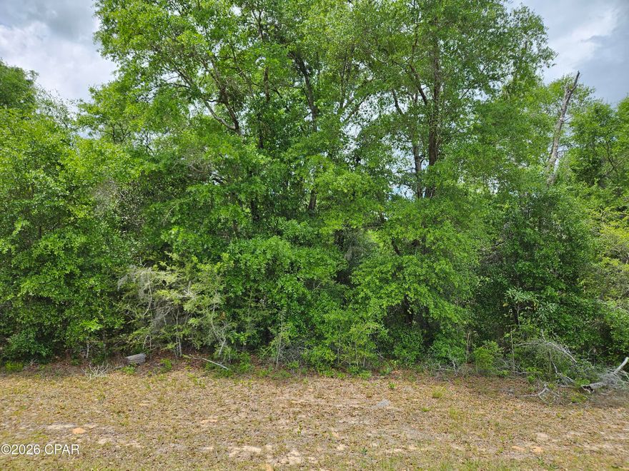 This 1/3 acre flat lot in Sunny Hills is in the growing subdivision and also is water view with a small lake just beyond the back boundary line. The gentle slope toward the back will offer some nice water views. The lot has plenty of trees for shade and would a good place to build your new home. There are plenty of recreational opportunities including clear Boat Lake that is a great spot for family outings as it includes picnic tables, men's and women's restrooms, some playground equipment and more. More information is available on its Facebook page. Also, Sunny Hills Golf and Country Club has a nice 18-hole course with big greens and wide fairways. Gap Pond with a boat launch is not far away.