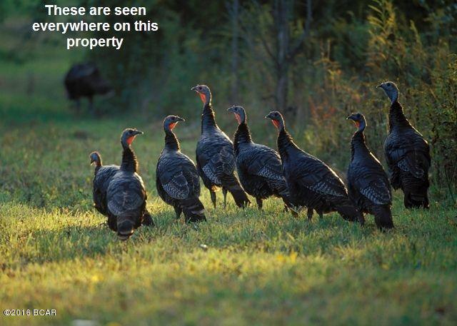 No Named Subdivision - Land