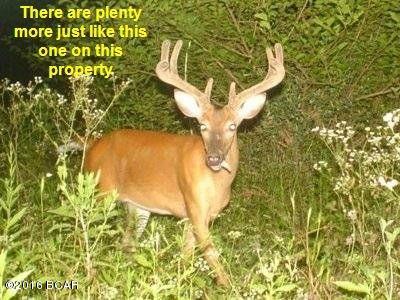 No Named Subdivision - Land