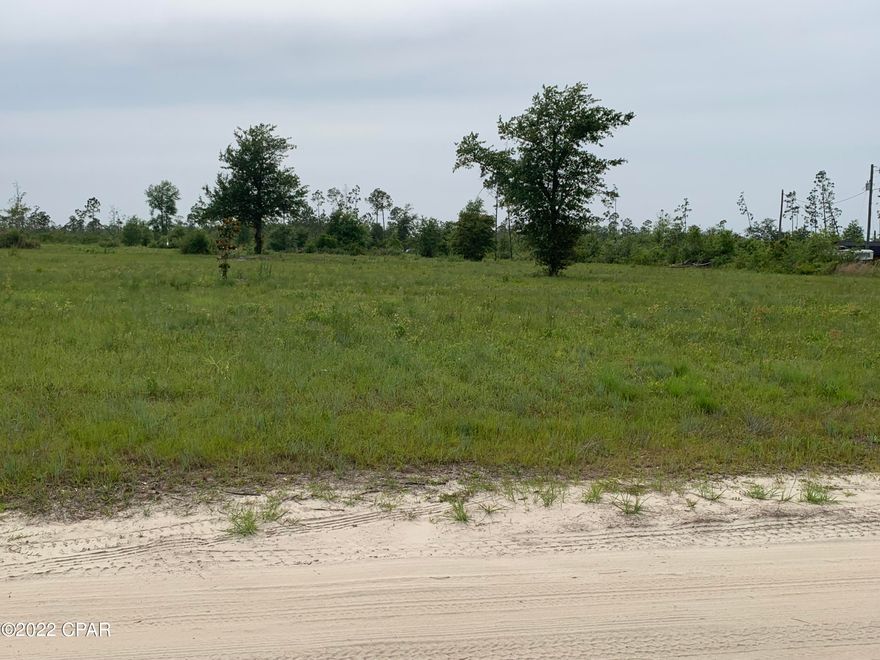 5 cleared acres high and dry with well and septic already onsite.  Build your dream home or place your mobile home on site electric already available onsite. Well is deep and the well pump is 4 years old. This is a must see parcel to appreciate.