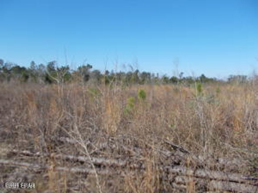 This is a nice level parcel for building or bring your mobile home there are no deed rest. Quiet country place for some animals, or just bring your home. Just .3 miles off a paved road.