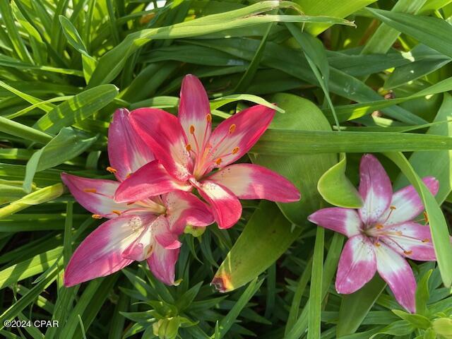 Highway 22 West Estates - Residential