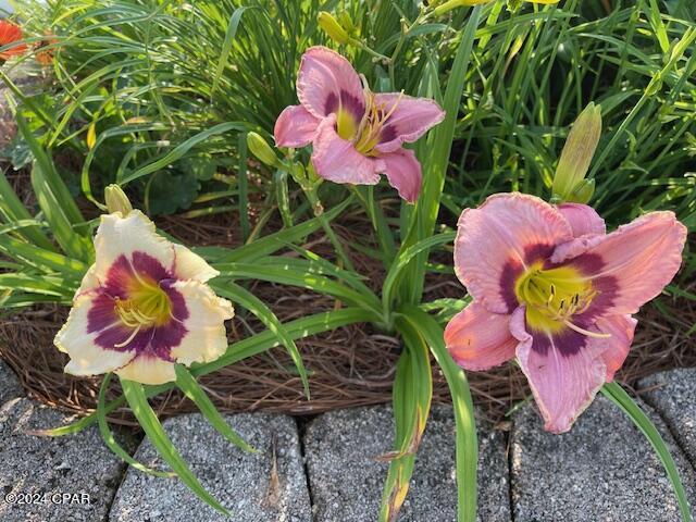 Highway 22 West Estates - Residential