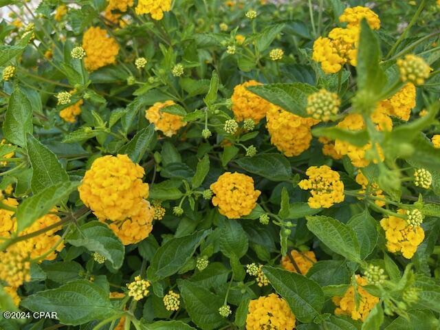 Highway 22 West Estates - Residential