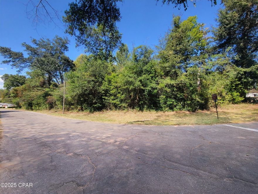 🌳 3-Acre Vacant Lot in the Heart of Marianna, FL 🌳

Don't miss this rare opportunity to own 3 high-and-dry acres perfectly located in the center of Marianna! Just 1 mile from Chipola College, 1.5 miles from Jackson Hospital, and only 2 miles from the Florida Caverns State Park, this property offers both convenience and natural beauty.

Zoned R-3, this versatile property allows for single-family or multi-family use, making it an excellent choice whether you're looking to build your dream home, create rental opportunities, or invest for future development.

With close access to shopping, dining, schools, and medical facilities, you'll enjoy the best of both worlds—peaceful acreage with all amenities just minutes away.

This listing includes 3 parcels: 34-5N-10-0361-0010-0200, 34-5N-10-0361-0010-0180 & 34-5N-10-0361-0010-0160. Survey Available