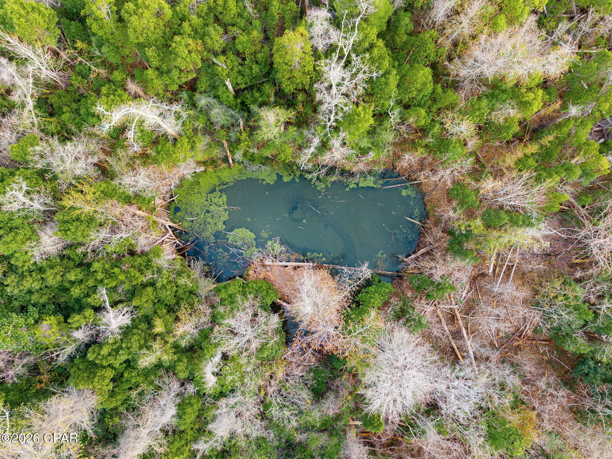 Callaway - Residential