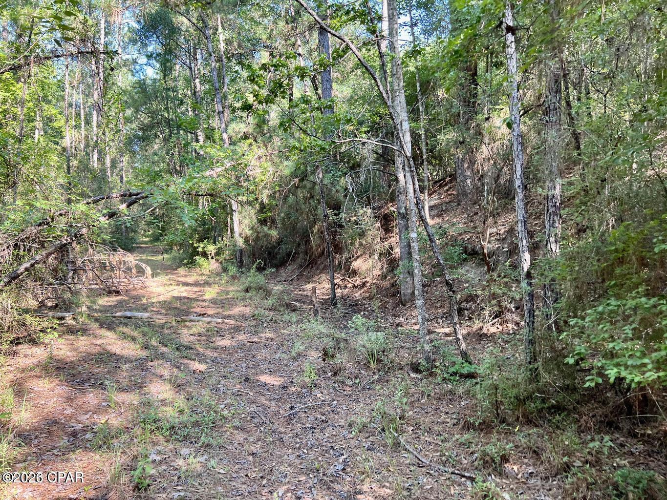 [No Recorded Subdiv] - Land