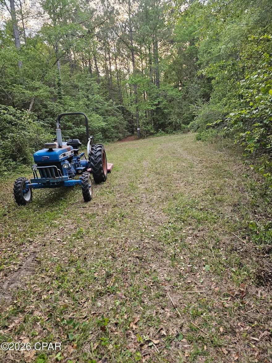 Approx. 10.21 acres located in N. Holmes County Florida. Located on the W side of Broom Road and on the Alabama/Florida state line. Wooded tract w/ approx. 540ft of road frontage. There is a cleared-out spot towards the back of the property that would make a great home site. Clearing has previously been used as a food plot for hunting. Can be used as a homesite or small getaway property. Enjoy nature here. FYI, There are 2 parcels that are included. 0319.00-000-000-007.000 and 074.00-000-000-003.000
One is 8.81 and the other is 1.40 for a total of 10.21 acres (approx.)