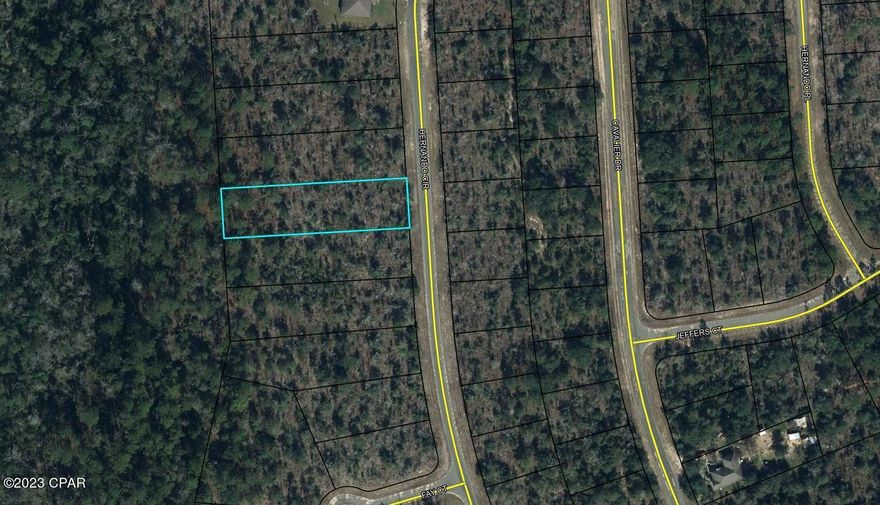 Huge (.55 acre) building lot in the growing community of Sunny Hills. There is a lot of new construction taking place to accommodate the growth moving north out of Panama City. Sunny Hills features a popular and affordable 18 hole public golf course. This lot is not far away from the clubhouse. Sunny Hills is a deed restricted community with no HOA. Lot is 4 lots away from an existing home. Severl major builders are working in Sunny Hills. Buyer to pay title insurance, closing fee, and doc stamps on the deed.