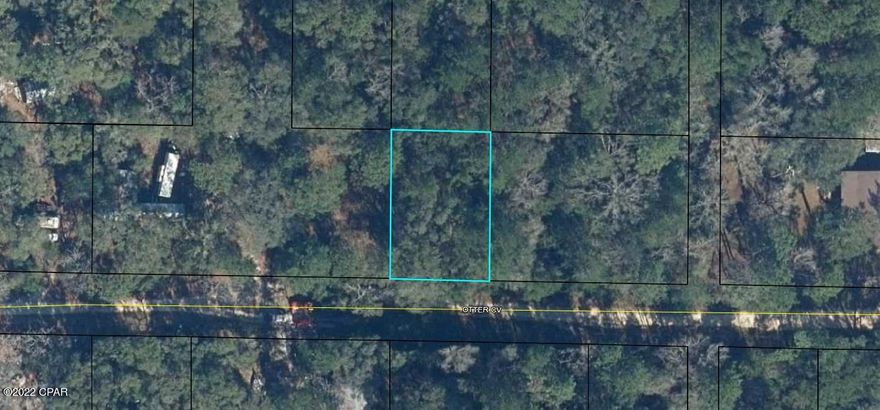 vacant land near the river