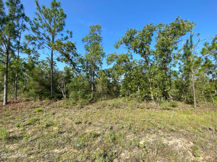 Extra large building lot close to Hwy 77. This property is not in a flood zone and there are confirmed utilities on the street. It backs up to green belt property so it is a nice and quiet location. Not far from the golf course. Sunny Hills has 26 lakes/ponds, including crystal clear Gap Pond and the well-known Boat Lake. There are 5 boat landings in the community for the fishermen. Deed restricted, but there is no HOA fee that applies. No mobile homes. Enjoy the slower pace of life this area has to offer and significantly lower taxes! Washington County is among the top five counties in the state of Florida that have the lowest property taxes. This lot is only a 20 minute drive from Chipley or Bonifay and about 45 minutes from PCB. Buyer to pay owner's title policy + title fees