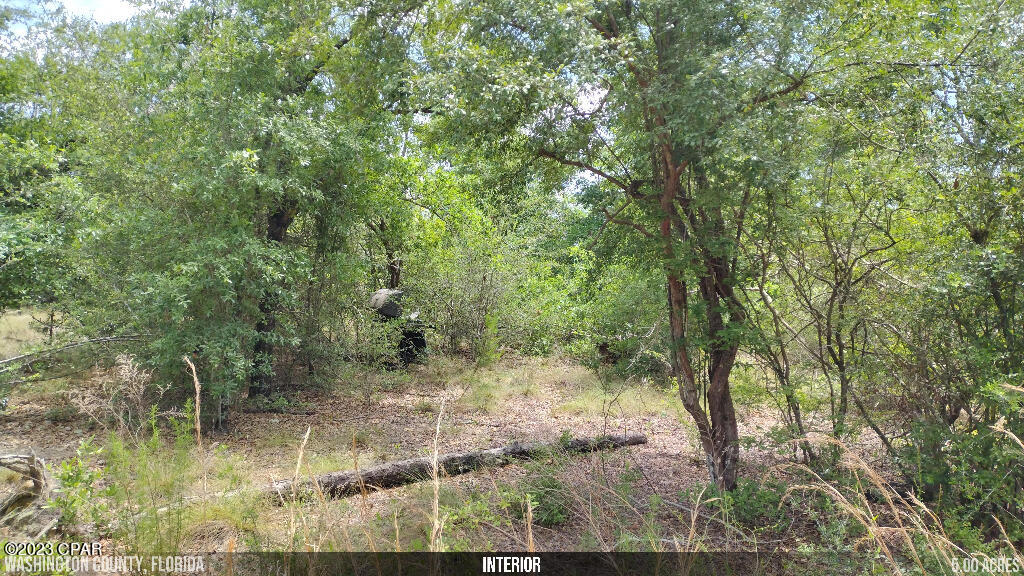 [No Recorded Subdiv] - Land