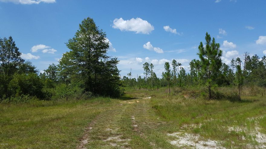 PRICE REDUCED!! IDEAL LOCATION... Do not miss out on this treasure right off County Road 167, close to Hwy 231 and within an hour to the airport and beaches!  The majority of this land has been cleared with a dirt road leading into and exiting the property. The land has beautiful trees and is ideal to build on. There is an unfinished A frame with a galvanized aluminum roof with 3'' insulation and a partially completed bathroom.  There is a spindle staircase that leads to a second floor.  There is a pump house outside and a power pole on the property.  Additionally, there is a  recreational vehicle on the property that the owner can move or sell for an added $25,000.00.  This 2017 rv is in like new condition.   All measurements are approximate; buyer to verify.  RV DOES NOT CONVEY.