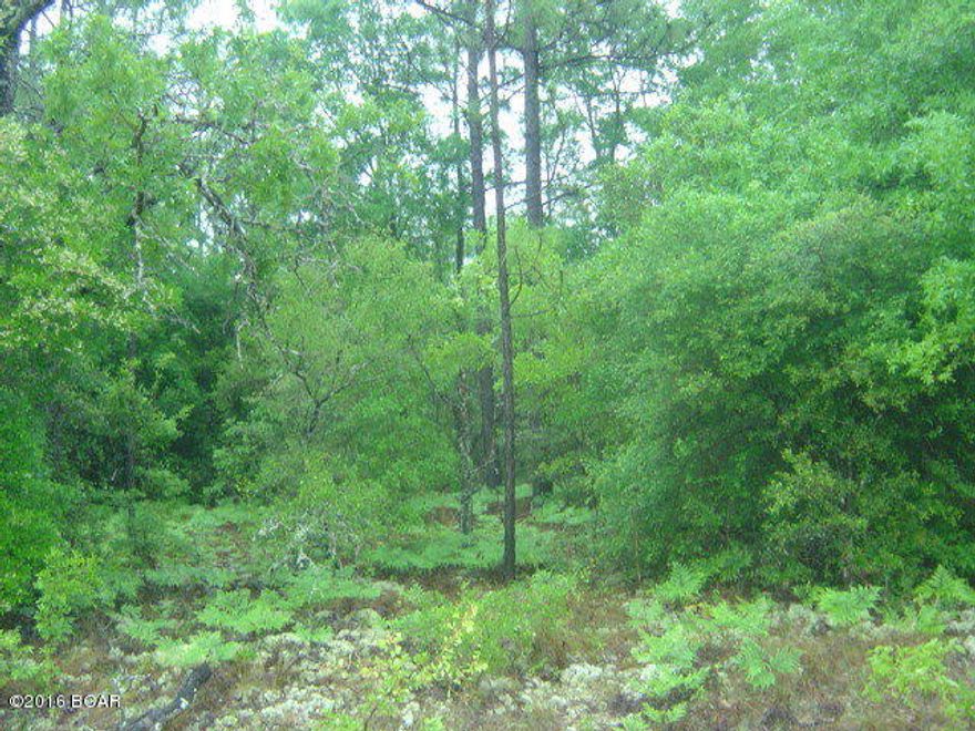 Nice lot with all the amenities of CLH with pool, tennis cts and etc.