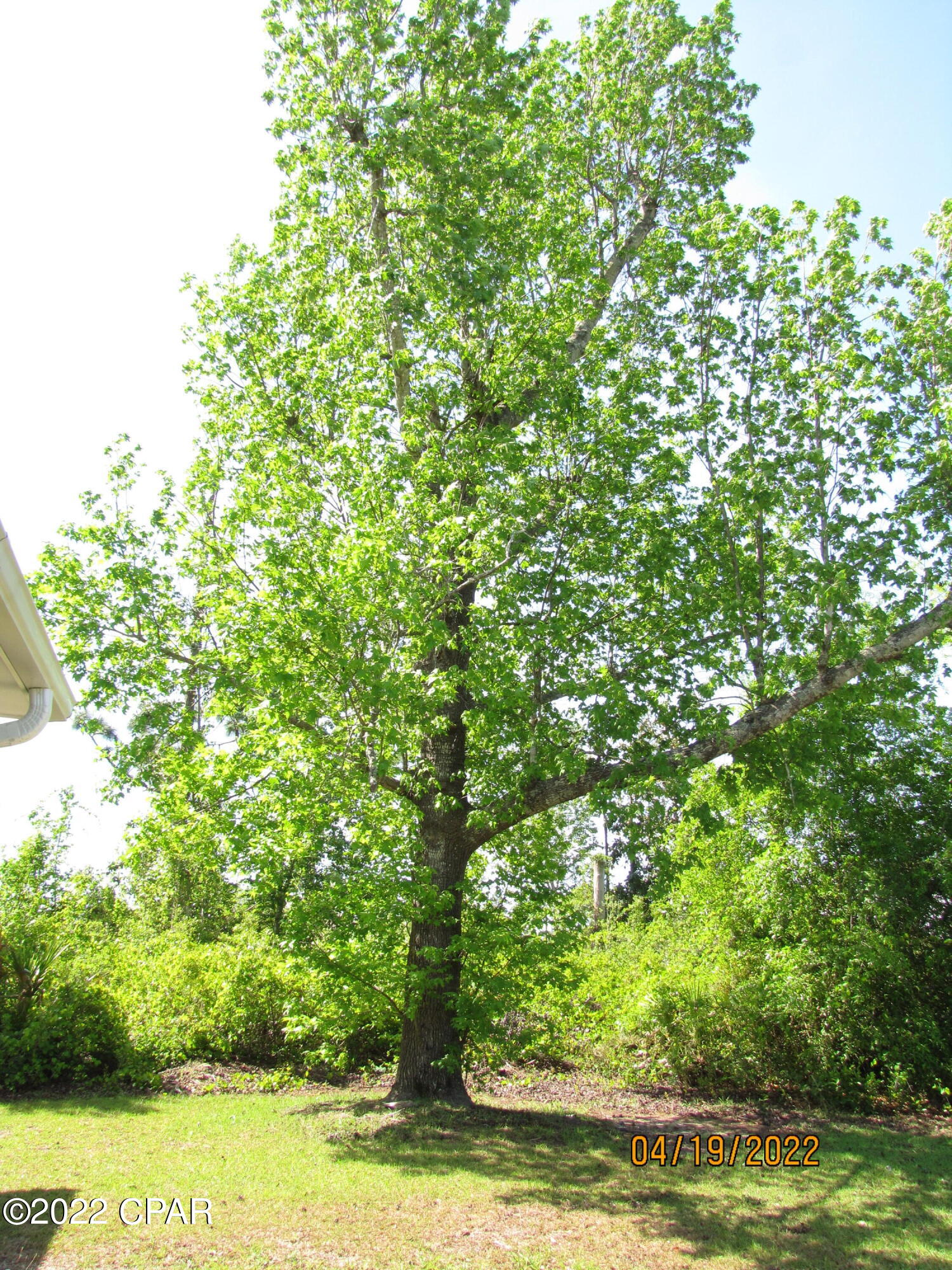 East Bay Point - Residential