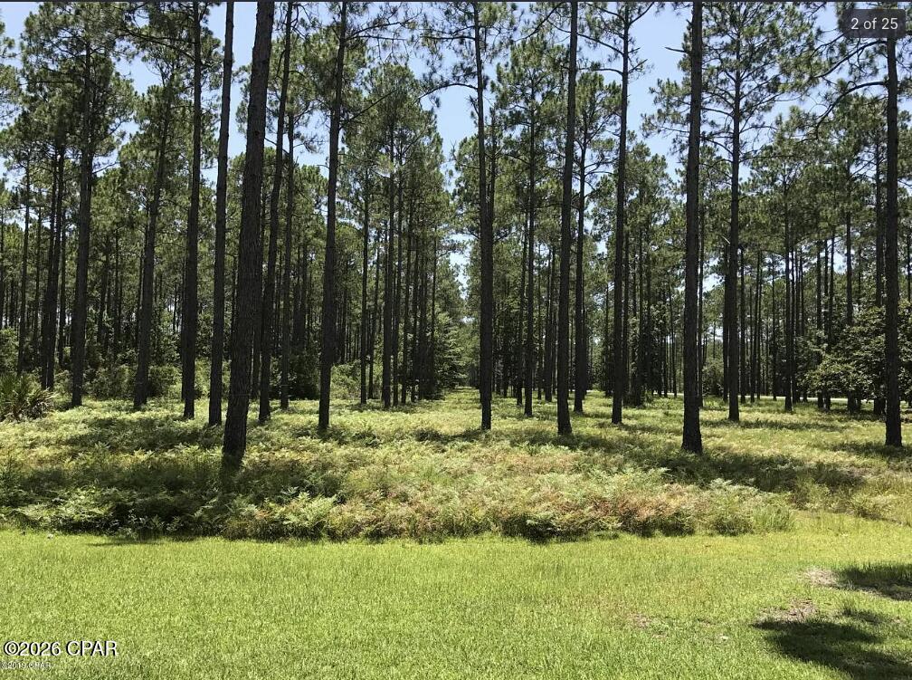 Rivercamps On Crooked Creek - Land