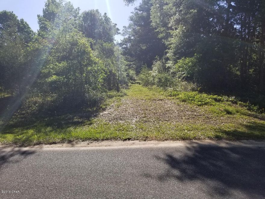 Secluded Country setting with plentiful wildlife.   This property would be perfect for hunting or building your dream home with plenty of room to roam.  This property has Easement access to Bumpnose Rd.  Call today!