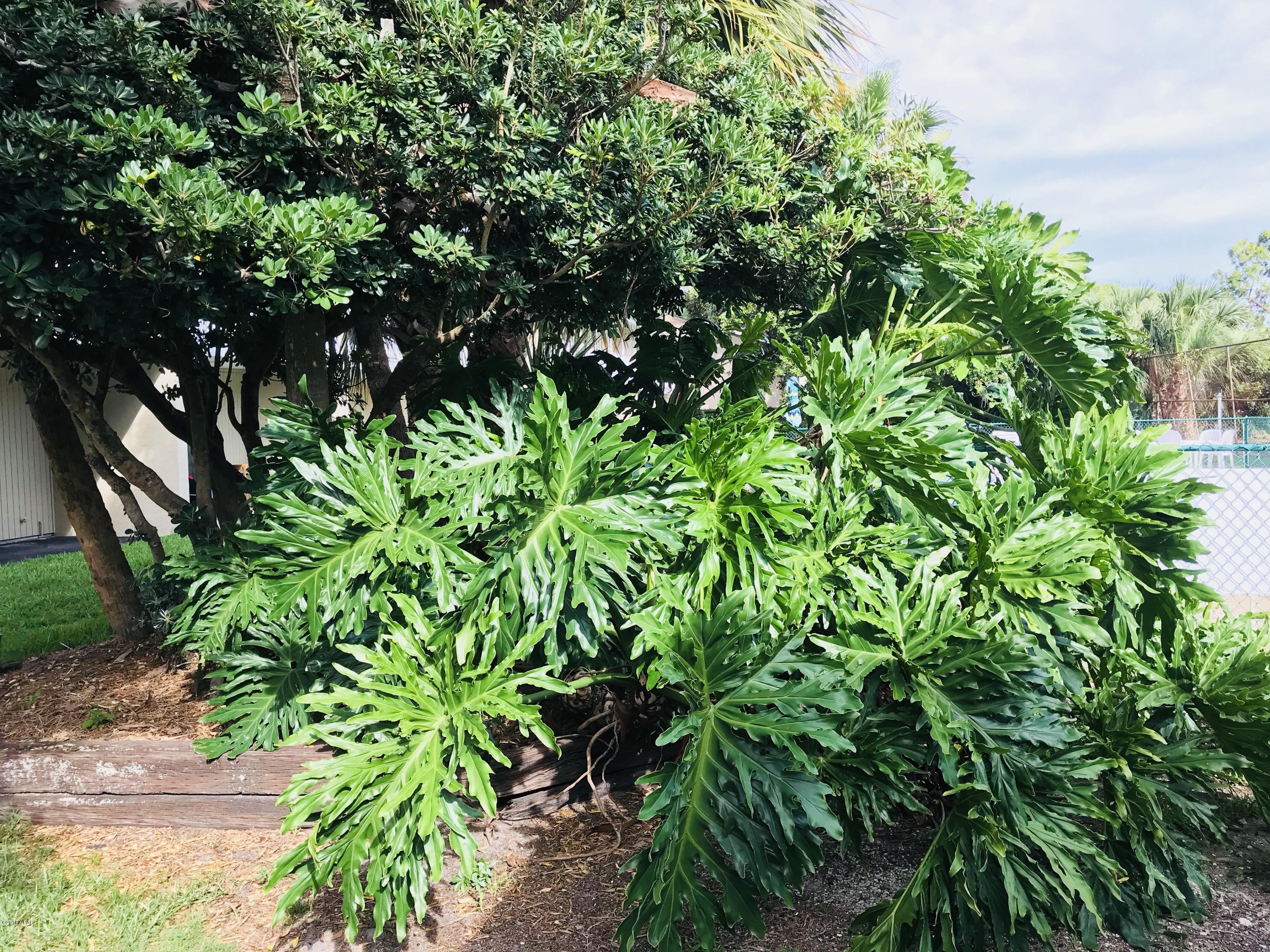 Grand Lagoon Cove Condominium - Residential