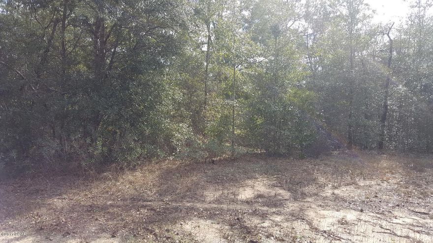 Side by side lots in Sunny Hills. 2 Nice interior wooded lots, .80 acre. Ready for you to pick your home site. Not far from Boat Lake and Sunny Hills main entrance. Several other fishing lakes in the area, approx. 40 miles for Panama City, Pier Park shopping and airport.