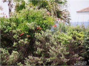 Laguna Beach Estates 3rd Add - Residential