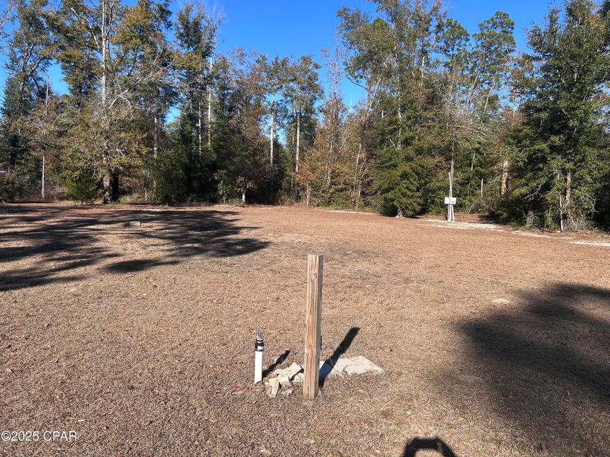 This is a half-acre parcel. There is a well (needs pump, it was taken) and existing septic on site also power pole and security light. Buyer to verify dimensions with survey. Great location for a new mobile home or build a new home. Great location to get away from the busy city. Owners came down with travel trailer and stayed at the property for short periods of time.