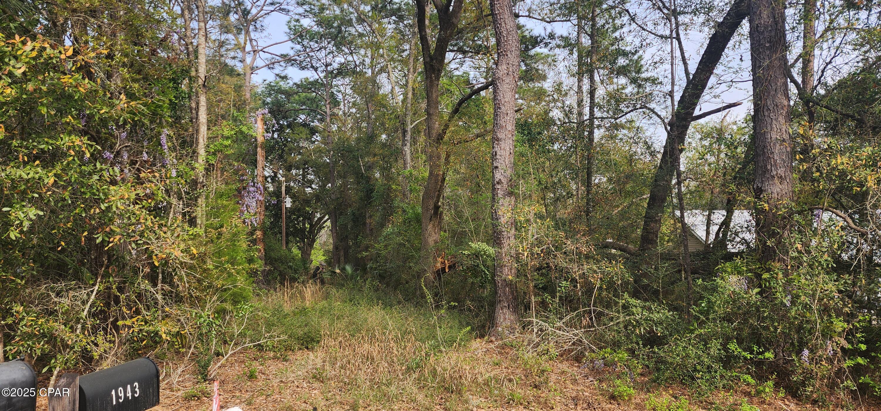 Dogwood Lake Estates - Land