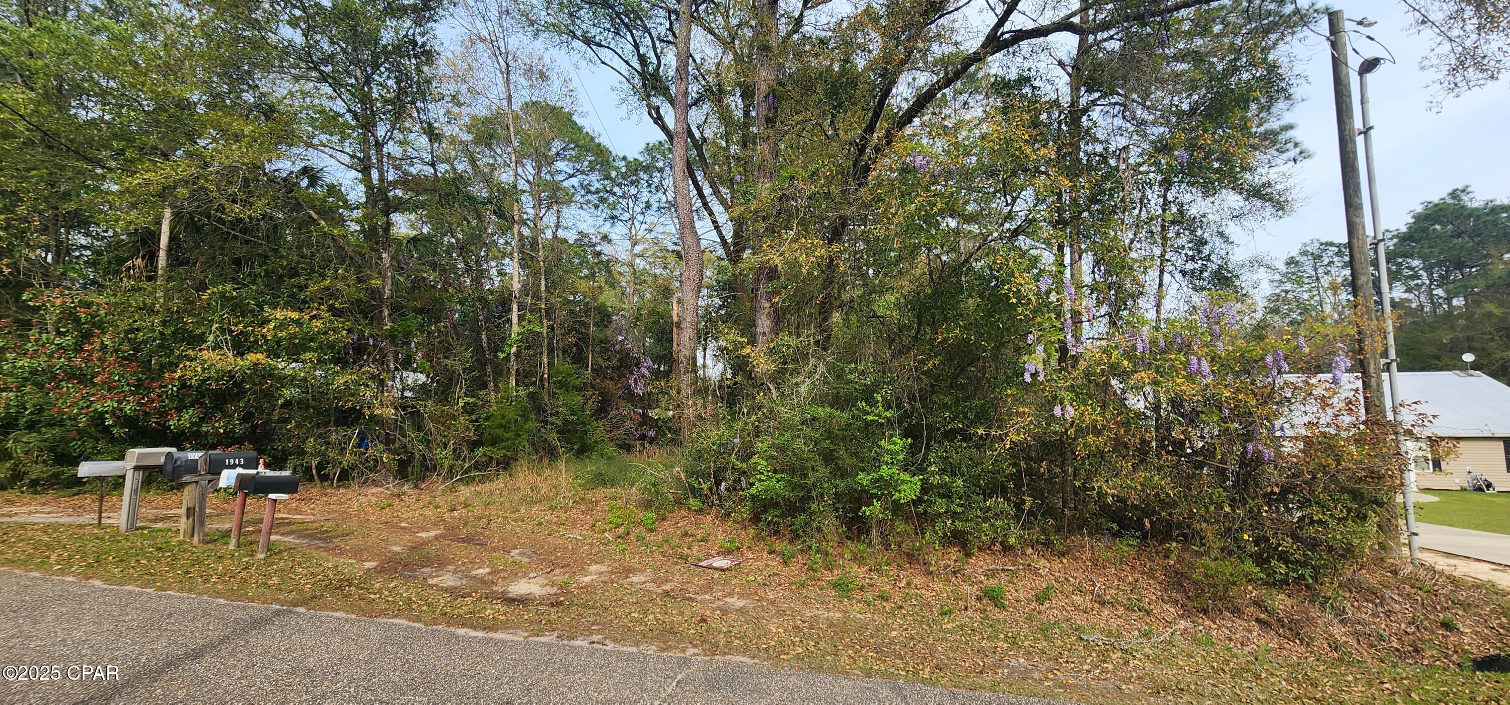 Dogwood Lake Estates - Land