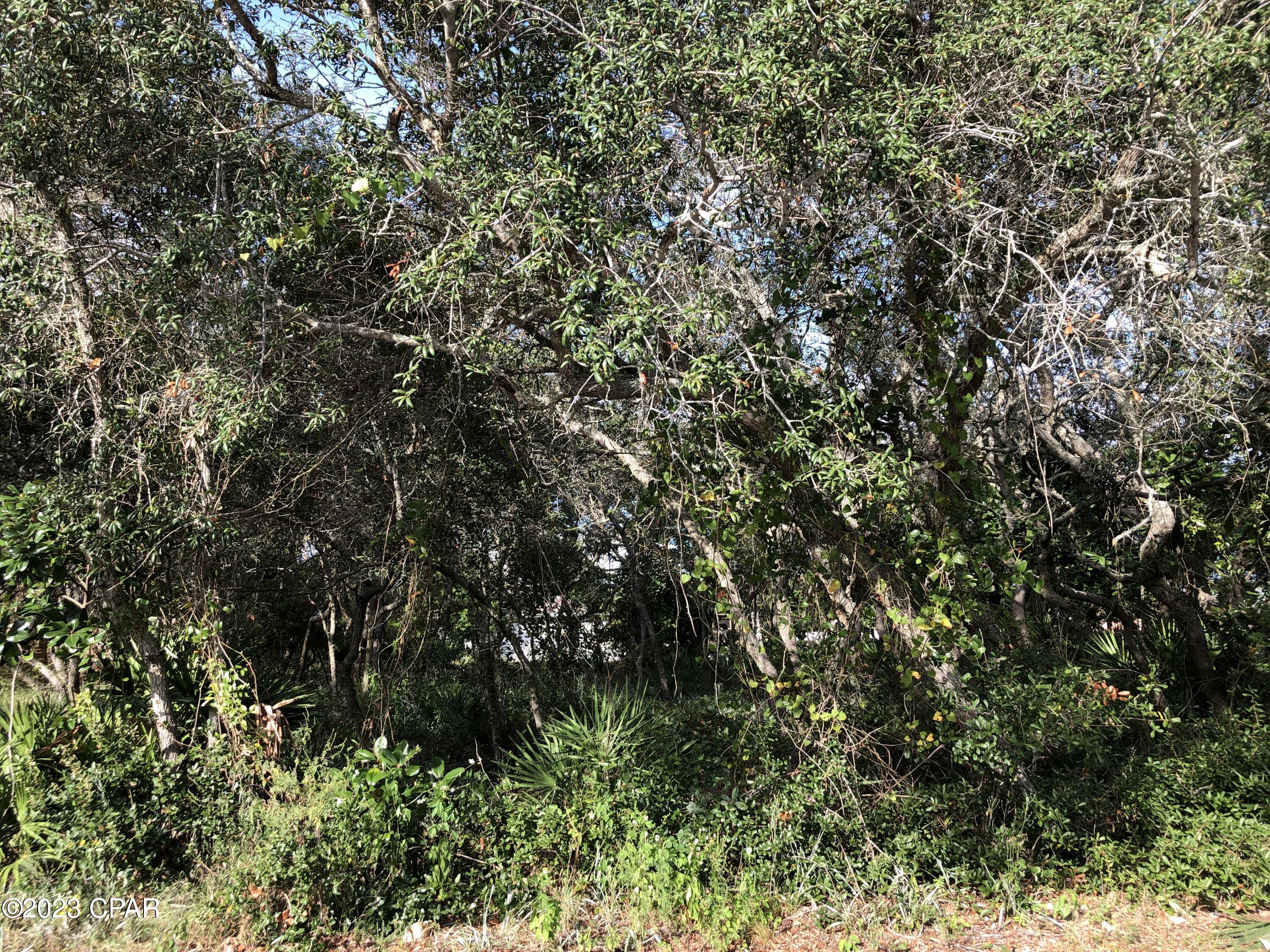 Bid-A-Wee Beach 1st Add - Land