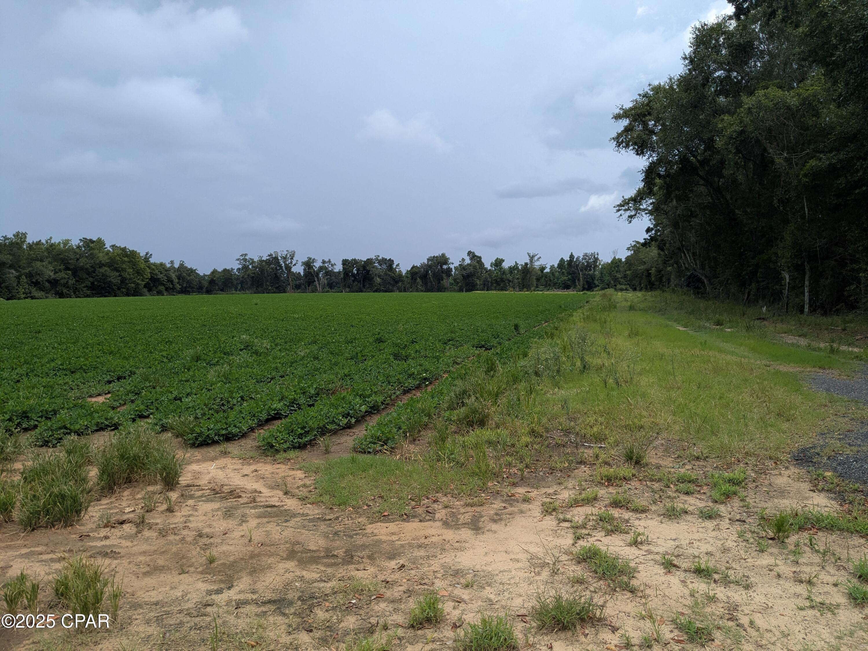 No Named Subdivision - Land