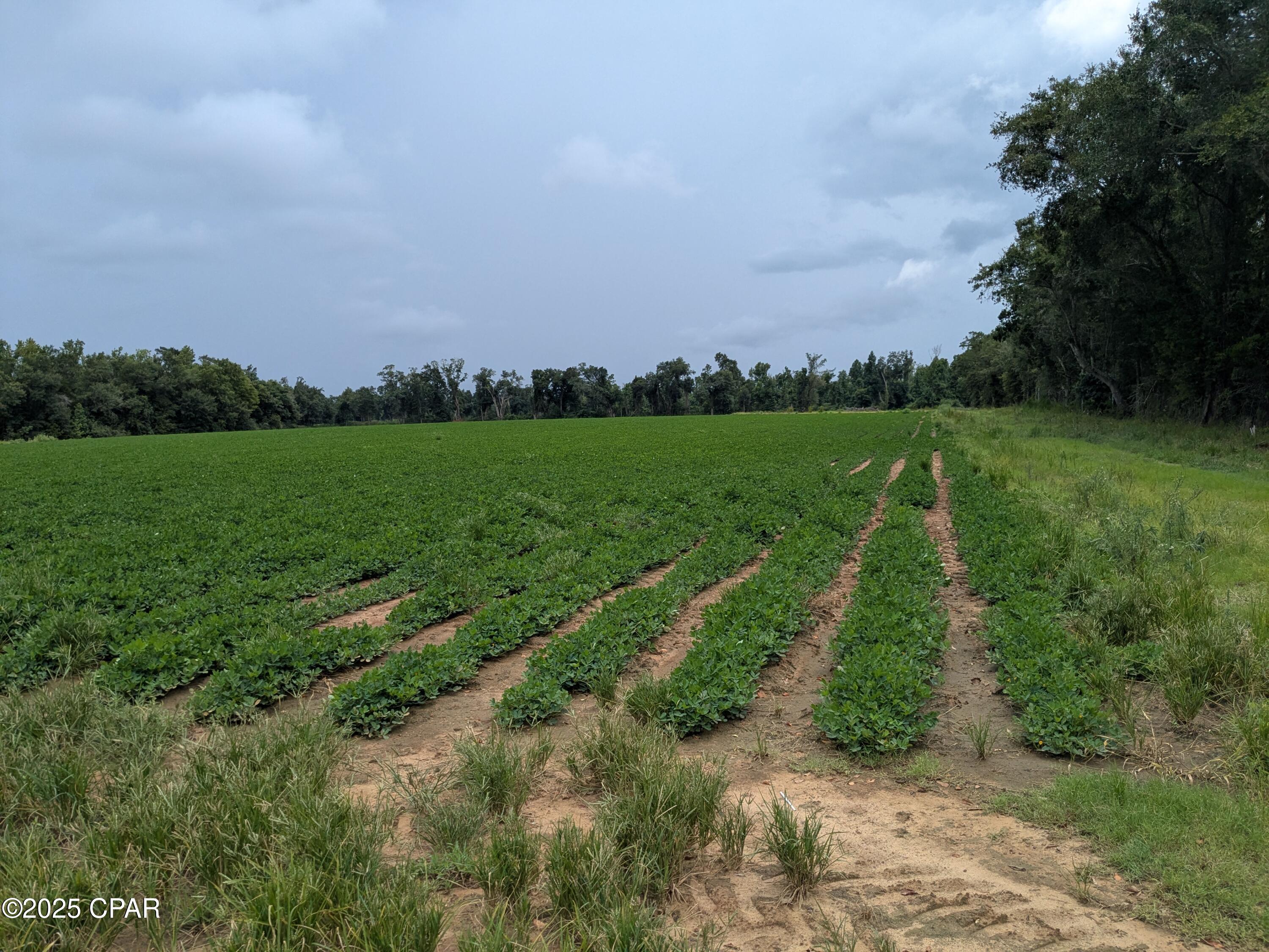 No Named Subdivision - Land