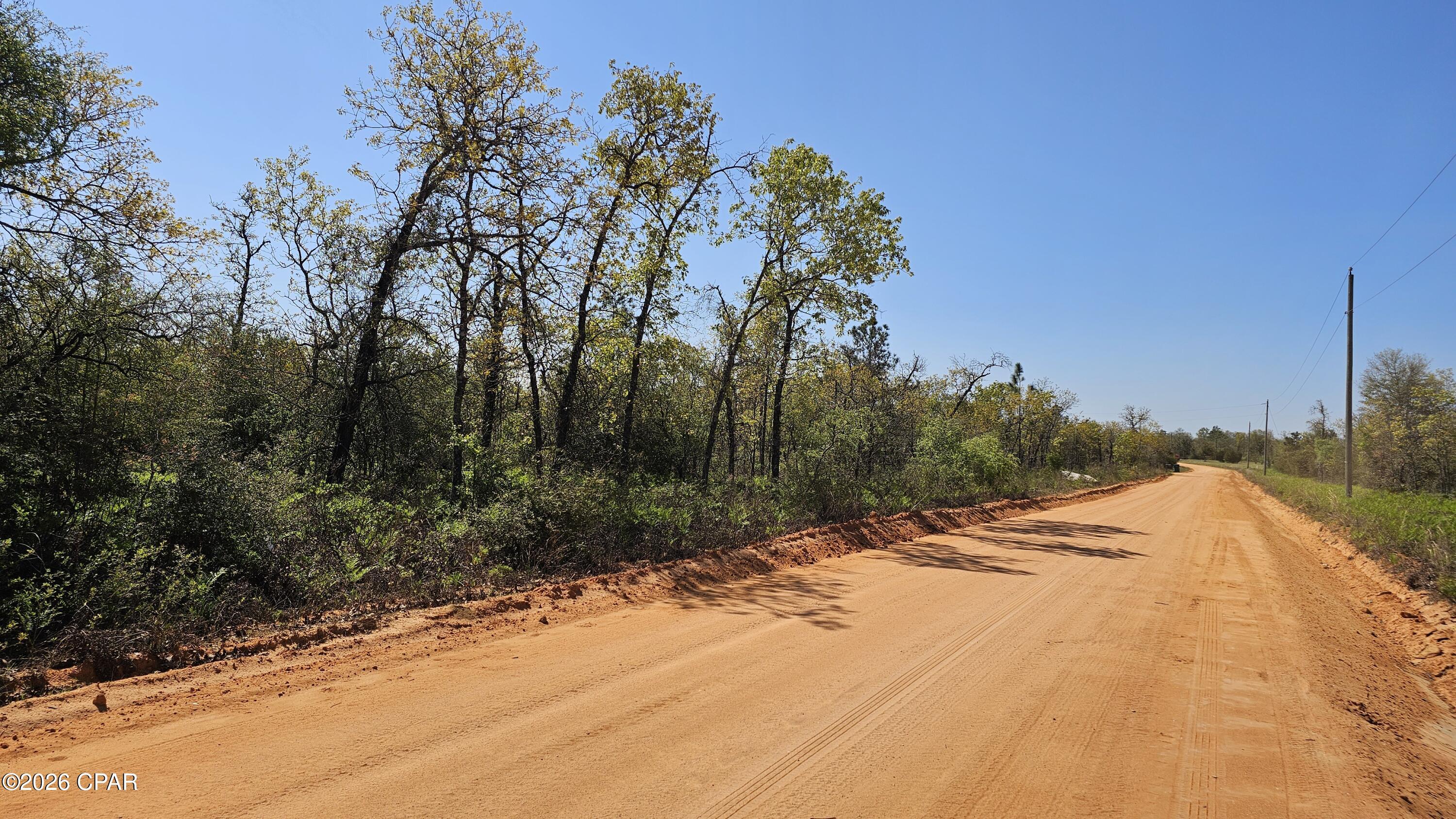 Buckhorn Creek - Land