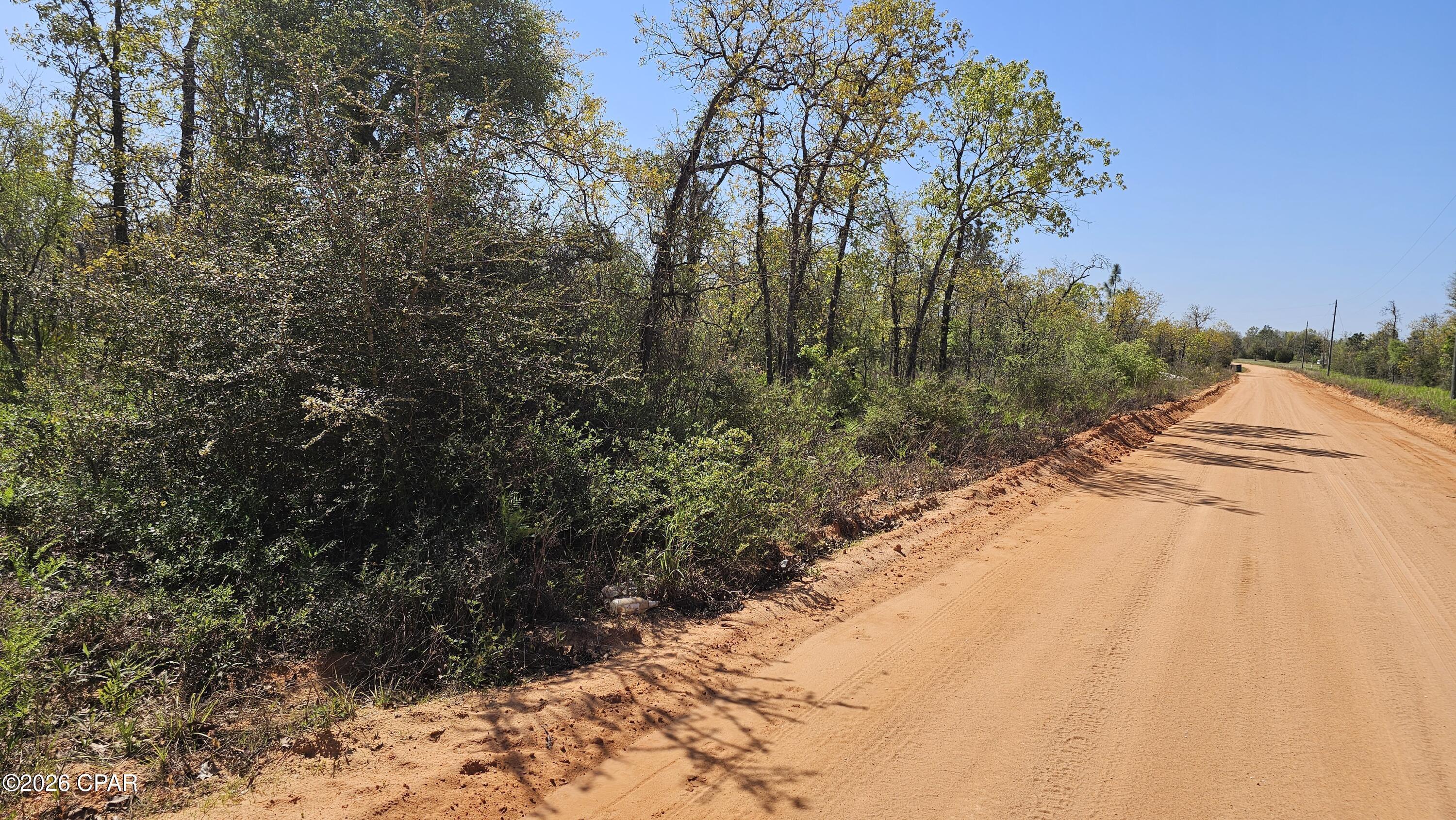 Buckhorn Creek - Land