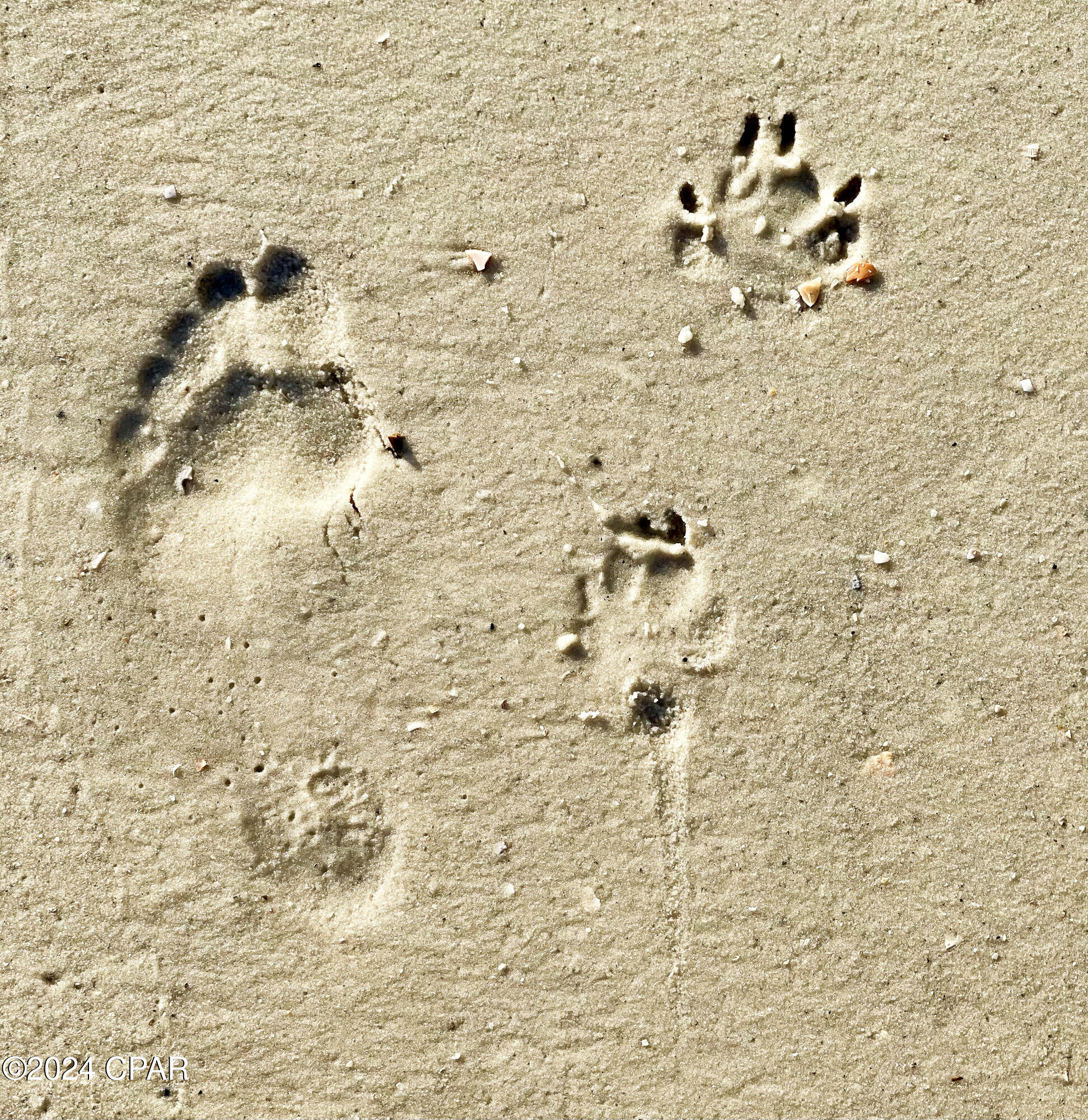 No Named Subdivision - Residential