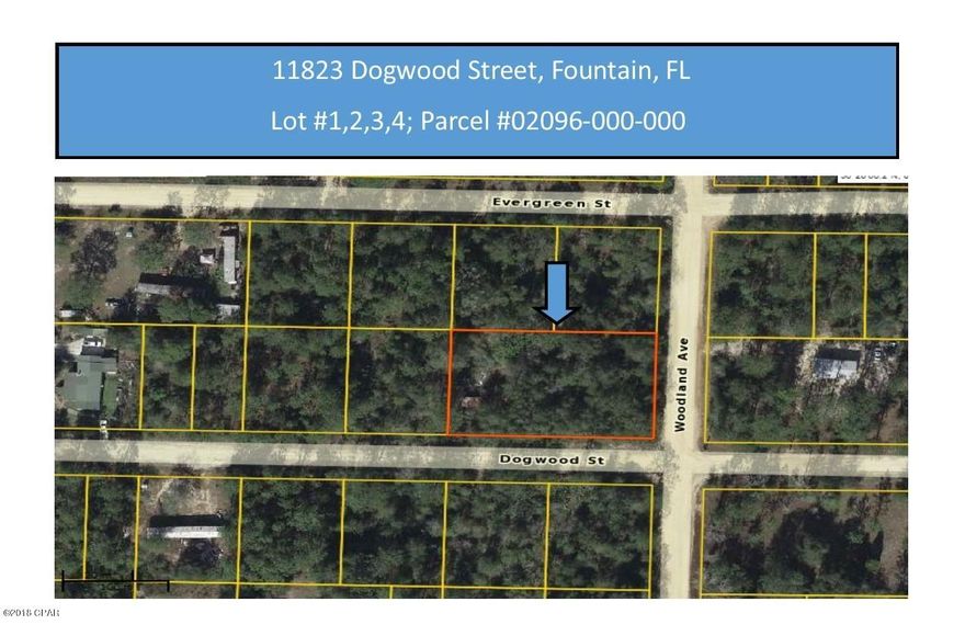 PRICED TO SELL! CORNER LOT! A great opportunity to purchase 4 building lots in Fountain. Centrally located between Panama City and I-10, these wooded lots are high and dry. Country living at it's finest. Minutes from great shopping, restaurants, beaches and international airport. Act now to take advantage of this great buy. Buyer should verify all information and measurements for accuracy.