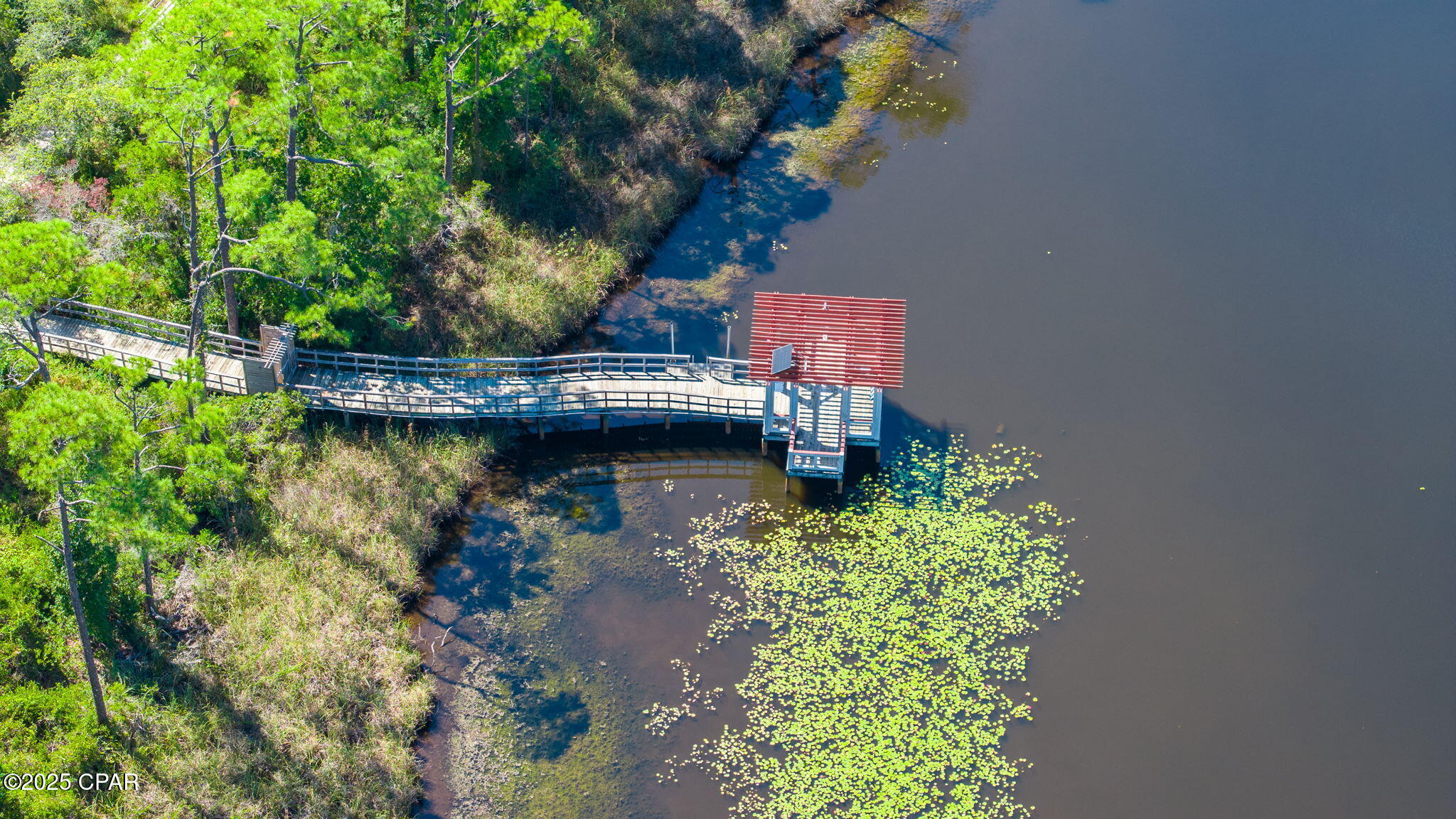 Watercolor - Residential