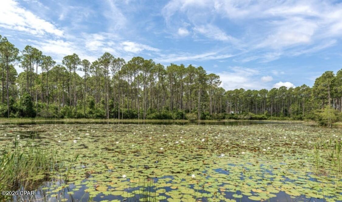 Rivercamps On Crooked Creek - Land