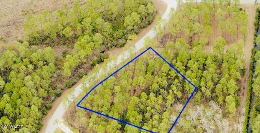River Camps is not just a Extraordinary community, its a LIFE STYLE you get when you buy !!!! You will be living on .93 of an acre while on a paved road for your DREAM HOME!!!
Lot 231 provides a large buildable area allowing plenty of room to build the home of your dreams in one of Panama City Beach's most sought after communities. This is a gated, private oasis consisting of 1500 acres located on 3 bodies of water: West Bay, Crooked Creek and the IntraCoastal Waterway. This area truly is the angler's paradise and sportmans retreat !!!! Over 1000 acres dedicated to conservation this is not a ''cookie-cutter'' neighborhood. You get to see deer walking the neighborhood, what a treat it is. There are 7 miles of trails throughout the community that pass along West Bay and Crooked Creek. World class amenities include a community boat ramp, day-use slips and dry-boat storage. Owners enjoy unlimited use of kayaks, canoes, paddle boards and bicycles that River Camps has to offer.

The new pool, pool pavilion, fitness center and River house are going to be remarkable. You wont want to miss your chance to build your dream home in this community. Give me a call for your private tour and lets make your dreams become REALITY !!!!!