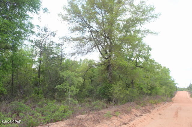 Buckhorn Creek - Land