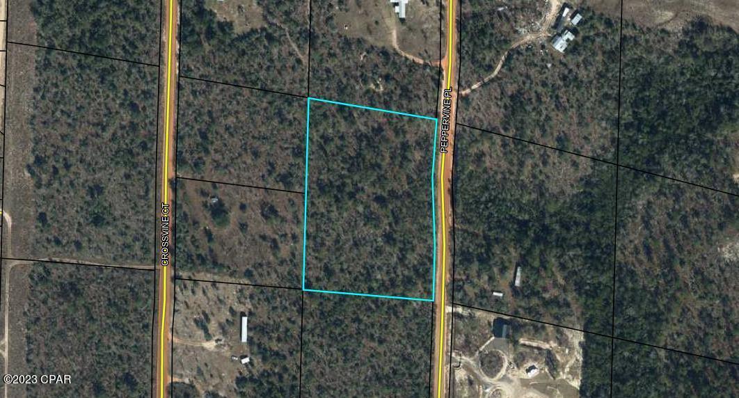 Buckhorn Creek - Land