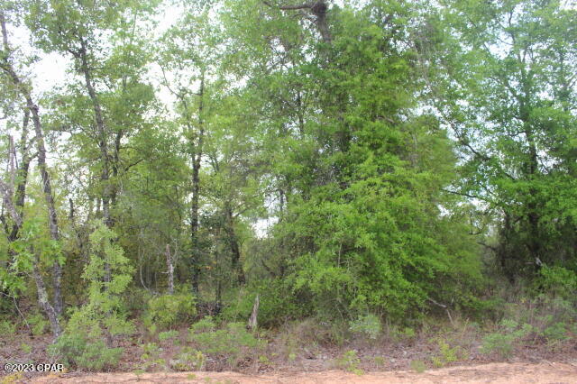 Buckhorn Creek - Land