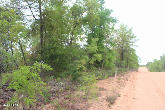 Buckhorn Creek - Land